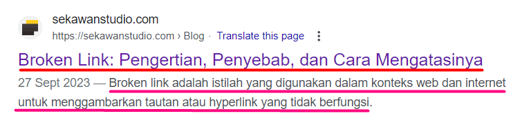 tampilan meta title dan meta description pada SERP