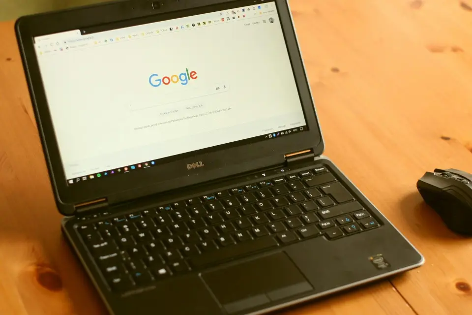 search engine