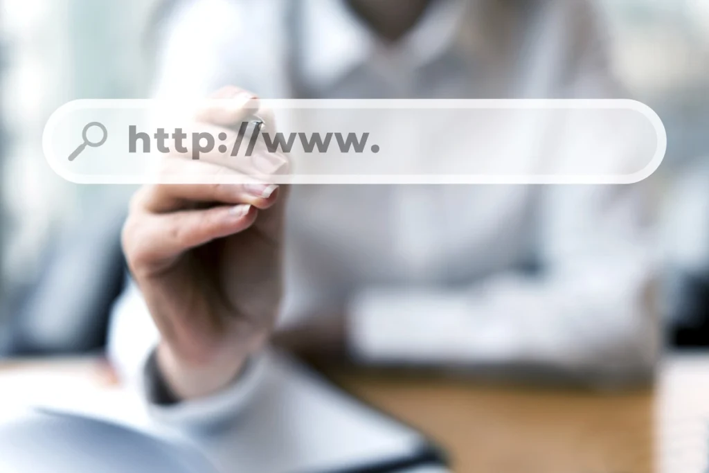 Browser: Pengertian, Fungsi, Cara Kerja, dan Jenis-jenisnya 4 browser