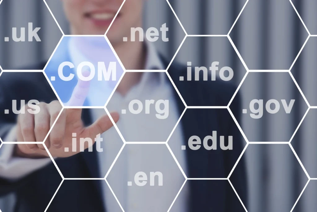 Apa itu Top Level Domain? - Pengertian, Jenis, & Contohnya 7 contoh jenis top level domain