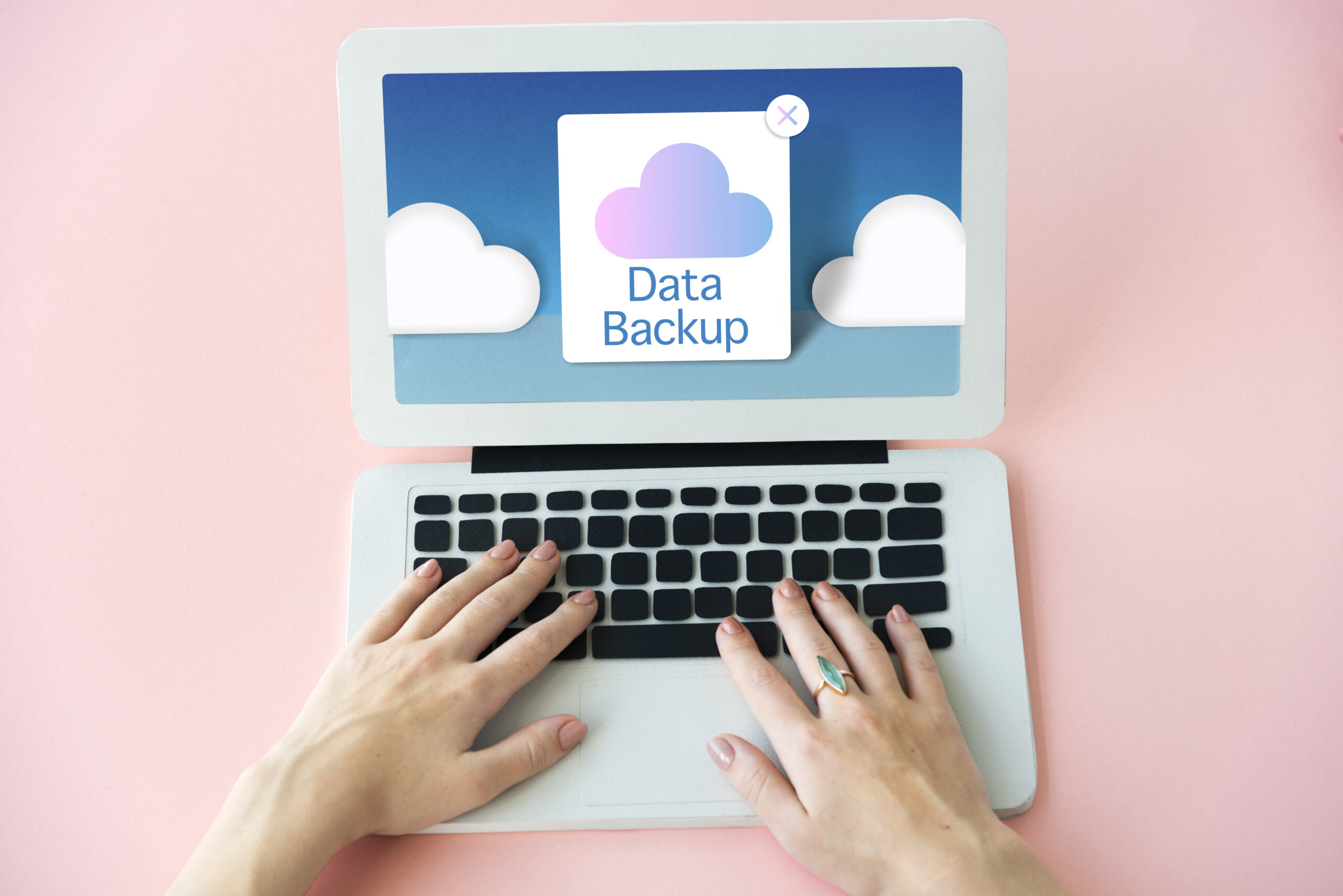 backup website manual